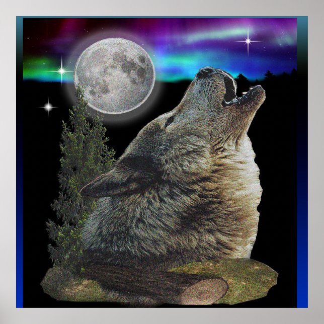 varg och måne poster (Framsidan)