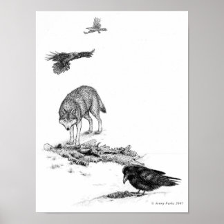 Varg- och Ravens-utskrifter Poster