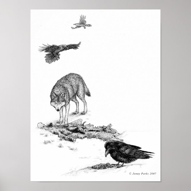 Varg- och Ravens-utskrifter Poster (Framsidan)