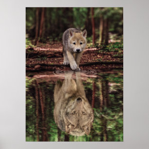 Varg och Valp Vatten reflektion, Abstraktens motiv Poster