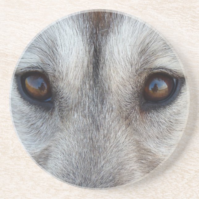 Varg Öga Underlägg Varg Hund Art Underlägg & GIfts (Framsidan)
