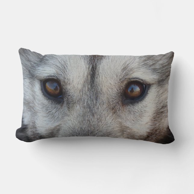 Varg Ögon Pillow Husky Varg Valp Pillows-gåvor Lumbarkudde (Framsida)