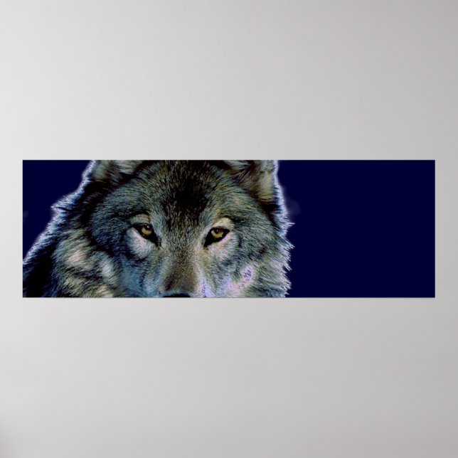 Varg Ögon Poster (Framsidan)