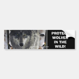 VARG ÖGON Wildlife Conservation Bumper-dekal Bildekal