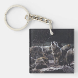Varg Pack