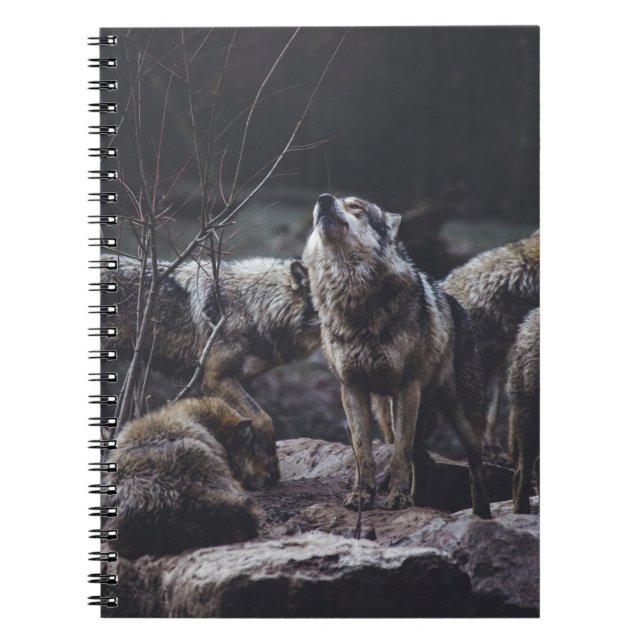 Varg Pack - anteckningsbok (Framsidan)