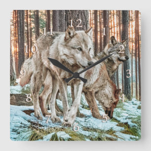 VARG PACK DAWN RAIDERS FYRKANTIG KLOCKA