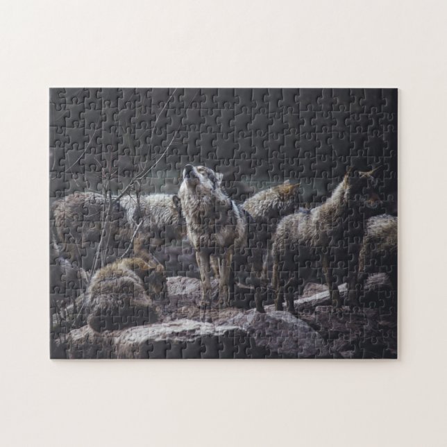 Varg Pack Forest Grått Vargars Animals naturvy Pussel (Horisontell)