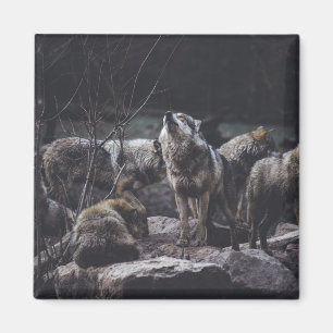 Varg Pack Magnet