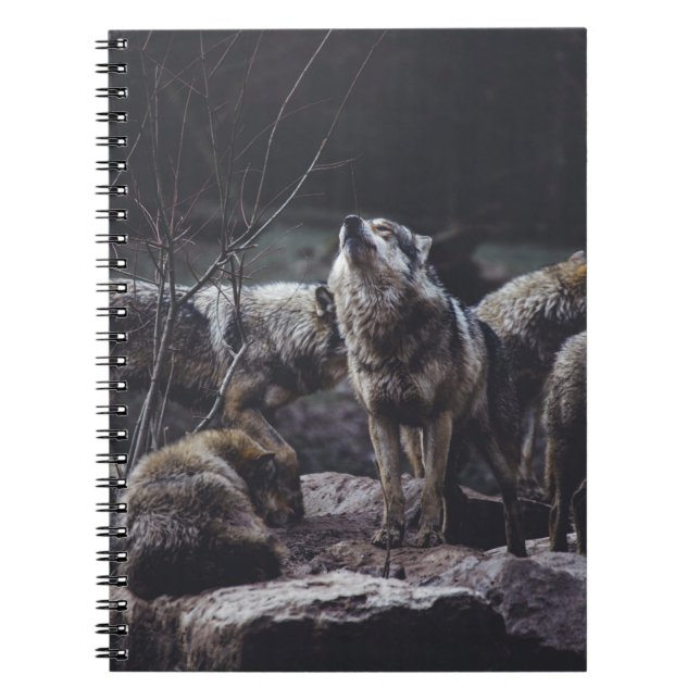 VARG PACK ON STEN FORMATION ANTECKNINGSBOK (Framsidan)