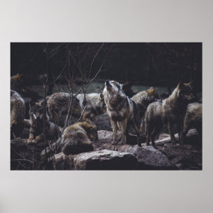 VARG PACK ON STEN FORMATION POSTER