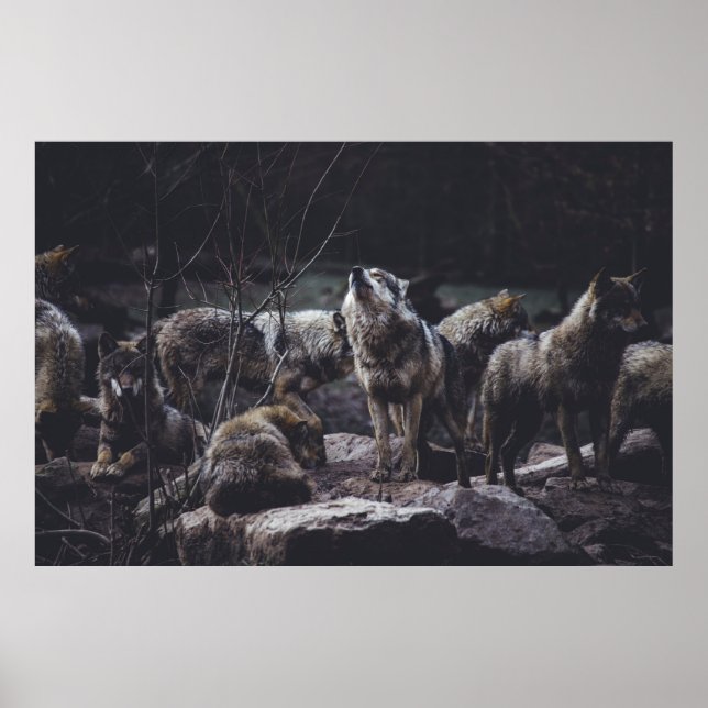 VARG PACK ON STEN FORMATION POSTER (Framsidan)
