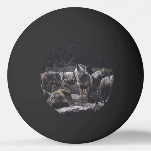 Varg Pack Pingisboll (Framsidan)