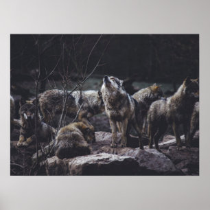 Varg Pack Poster