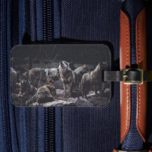 Varg Pack-resggage-tagg