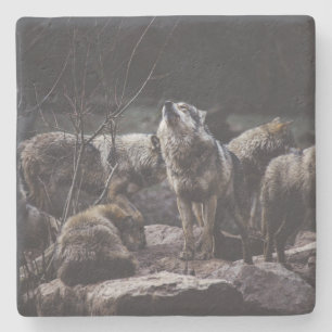 Varg Pack Stenunderlägg