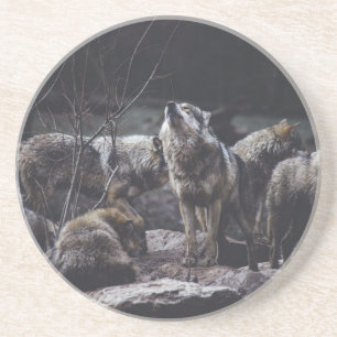 Varg Pack Underlägg