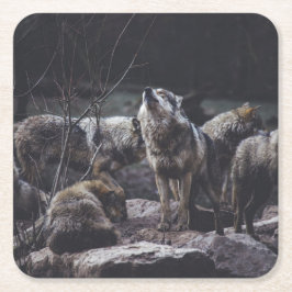 Varg Pack Underlägg Papper Kvadrat