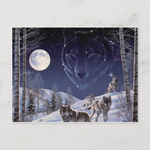 Varg Pack Vykort