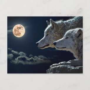 Varg Pair Måne Night Gothic Fantasy Vykort