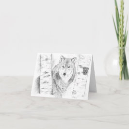 Varg Peering genom Birch Träd Kort