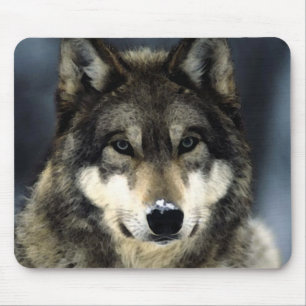 Varg Porträtt Mousepads Musmatta