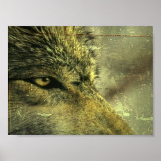 Varg Poster
