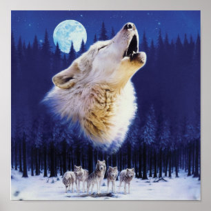 Varg Poster