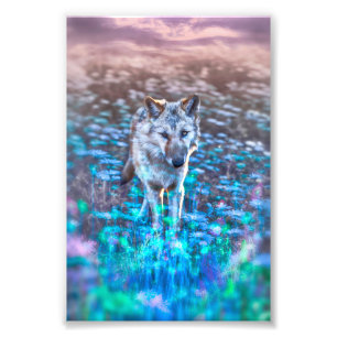Varg Puppy LONG KAN DIN OSKULD REIGN Fototryck