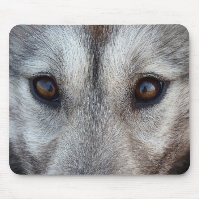 Varg Puppy Mousepad Gifts Canadian Sled Hundar Musmatta (Framsidan)