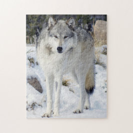 Varg Puzzle 11 x 14 tum 252 Biet med Gift-ruta Pussel