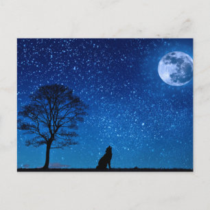 Varg Silhouette Howling i Måne Vykort