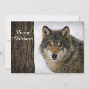 Varg Snö Träd - julklapp Julkort