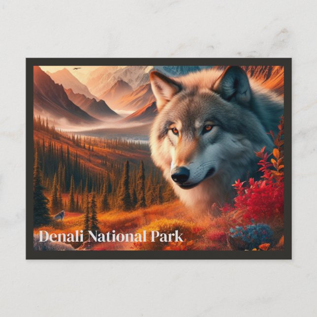 Varg Solnedgång Denali State Park Vykort (Framsida)