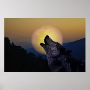 Varg som tjuter på månen poster
