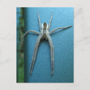Varg Spider 165 ~ vycard Vykort