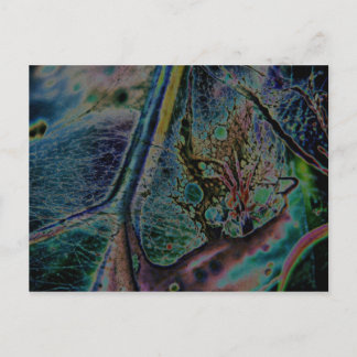 Varg Spider Nebula Vykort