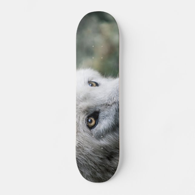 Varg Stare Mini Skateboard Bräda 18,5 Cm (Framsida)