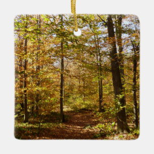 Varg Sten Trail in Autumn Pennsylvania Ligcape Julgransprydnad Keramik