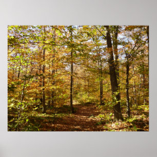 Varg Sten Trail in Autumn Pennsylvania Ligcape Poster
