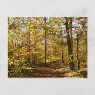 Varg Sten Trail in Autumn Pennsylvania Ligcape Vykort
