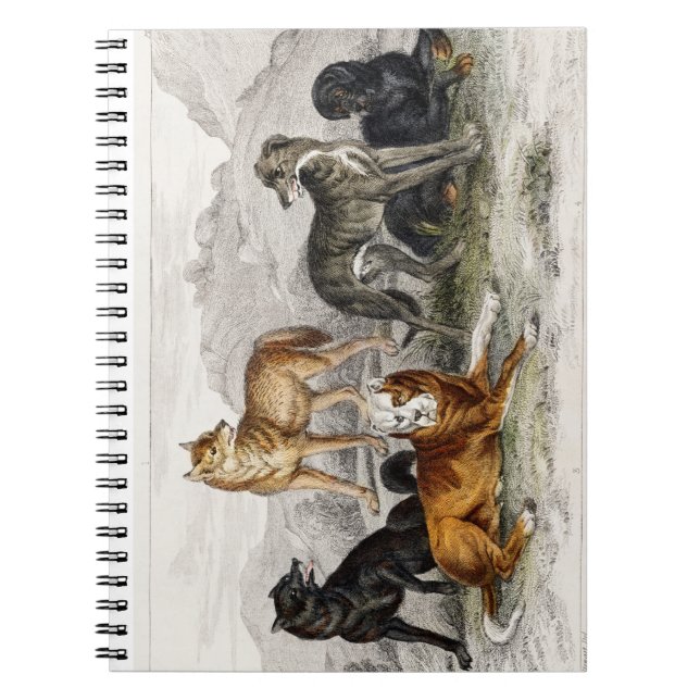 Varg, Svart varg i Nordamerika, Greyhound Anteckningsbok (Framsidan)