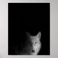 Varg, svartvit, modern fotografi