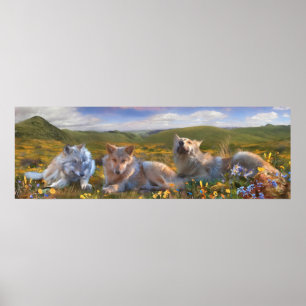 Varg valpar "SÅNG AV TRE BLOMMAR" Poster