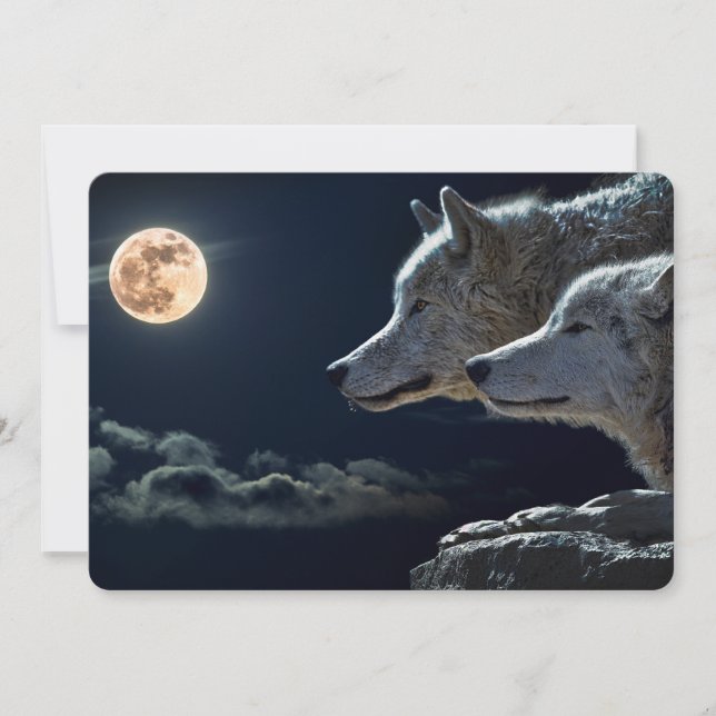 Varg Vargar Howling på Full Moon på natten (Framsida)