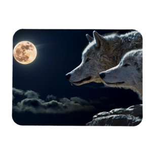Varg Vargars Howling vid fullkomligt månfärdigt ma Magnet