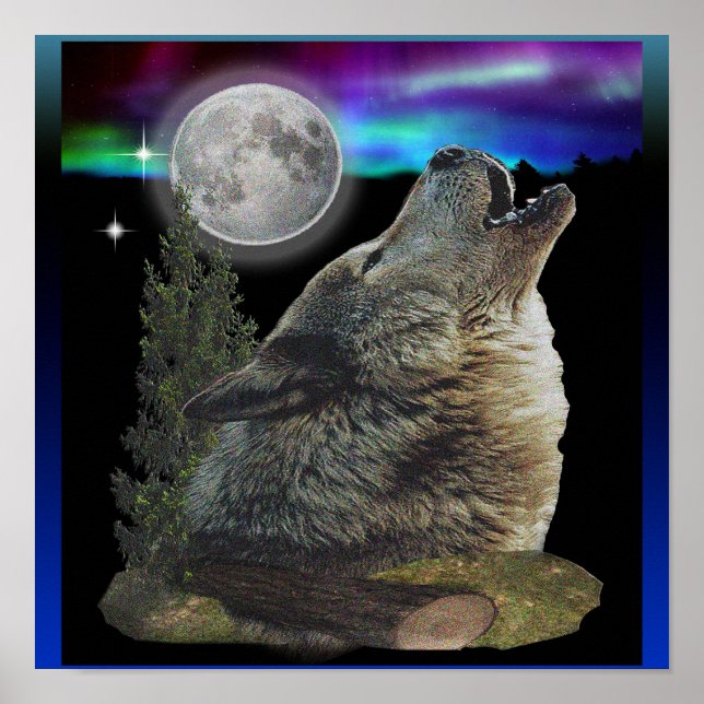 Varg vid nattposter poster (Framsidan)