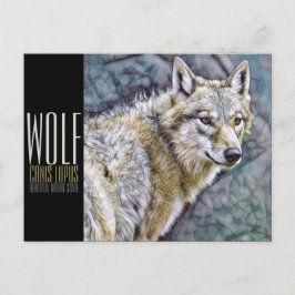 Varg [vykort] vykort