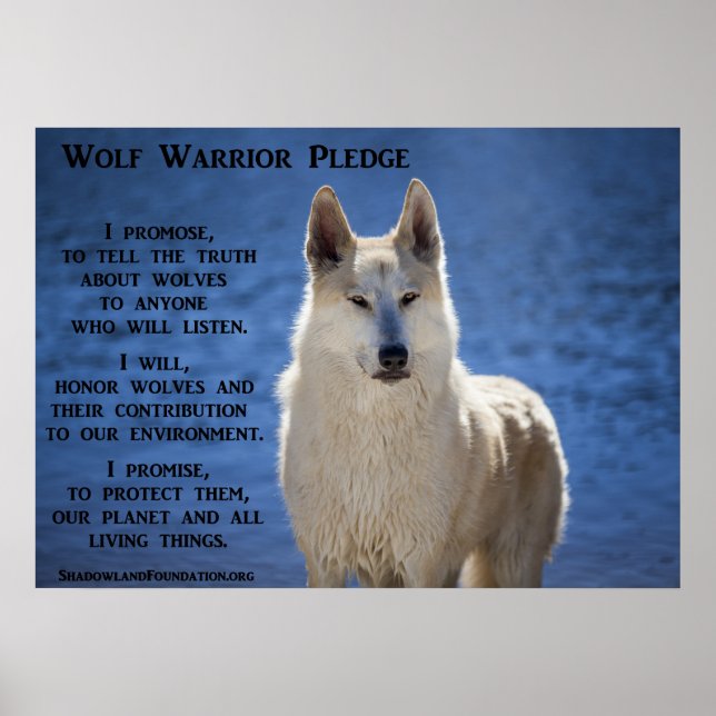 Varg Warrior Poster (Framsidan)