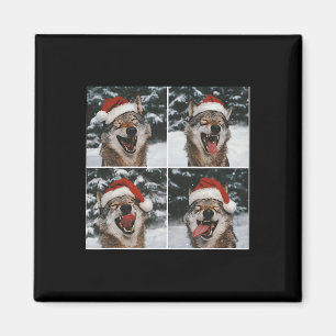 Varg Winter Photography Varg Conservation Christma Magnet